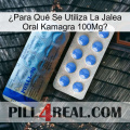 ¿Para Qué Se Utiliza La Jalea Oral Kamagra 100Mg 40